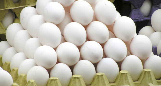 poultryfarming6